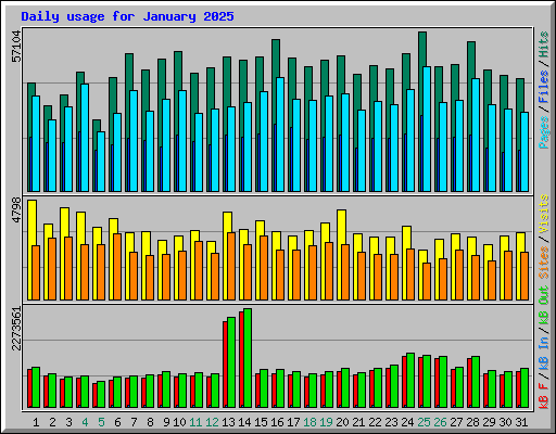 Daily usage for January 2025