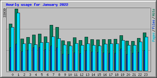 Hourly usage for January 2022