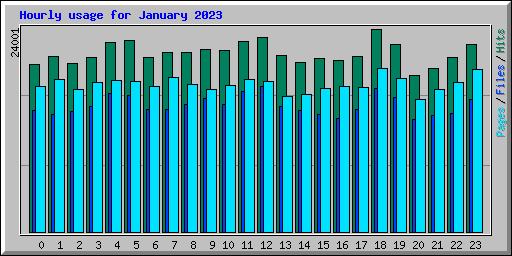 Hourly usage for January 2023