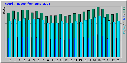 Hourly usage for June 2024