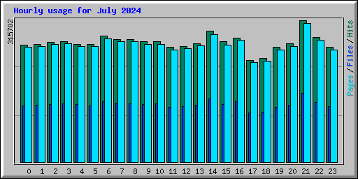 Hourly usage for July 2024