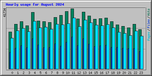 Hourly usage for August 2024