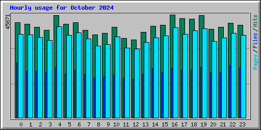 Hourly usage for October 2024