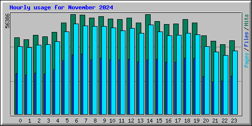Hourly usage for November 2024