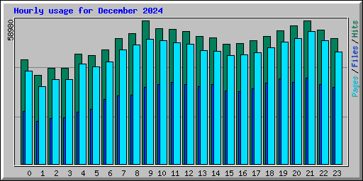 Hourly usage for December 2024