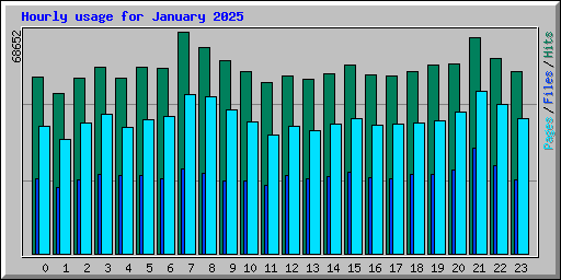Hourly usage for January 2025