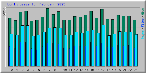 Hourly usage for February 2025