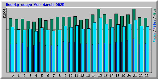Hourly usage for March 2025
