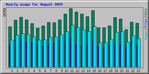 Hourly usage for August 2025