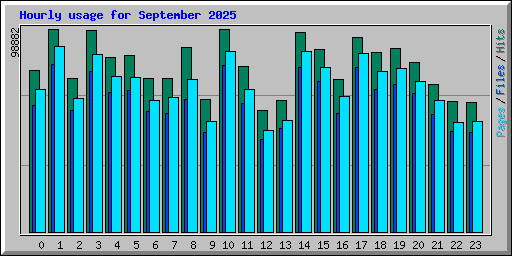 Hourly usage for September 2025
