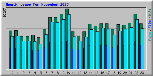 Hourly usage for November 2025