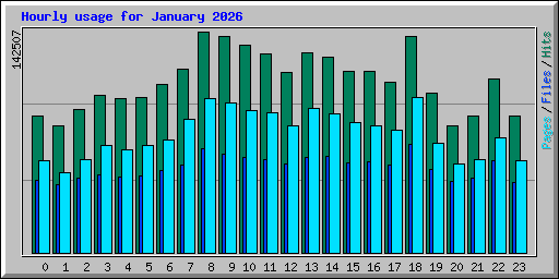 Hourly usage for January 2026