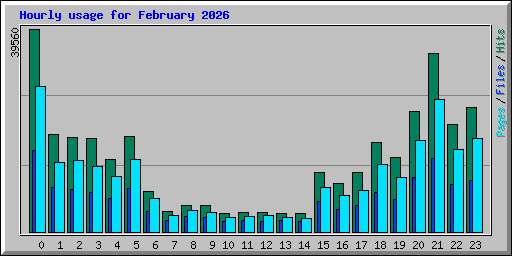 Hourly usage for February 2026