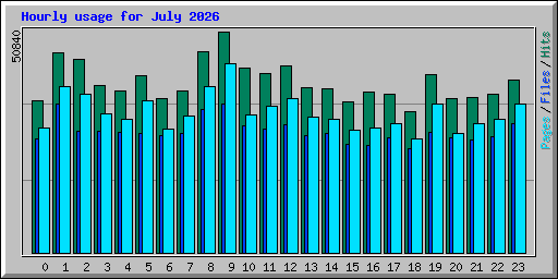 Hourly usage for July 2026